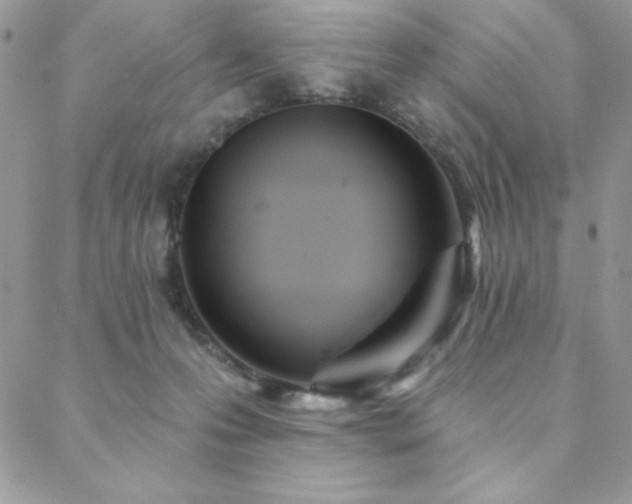 X0000088630223200705251440