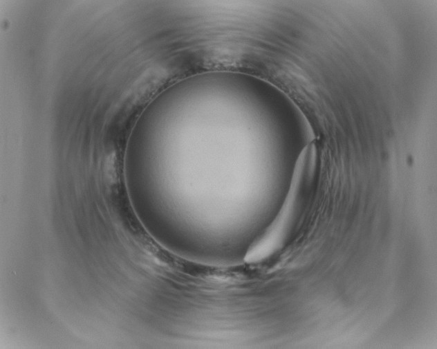 X0000088630224200705251440