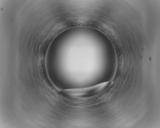 X0000088630225200705251440
