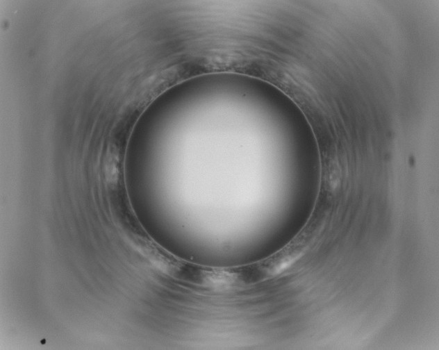X0000088630226200705251440