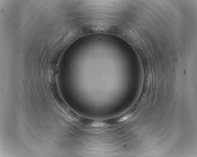 X0000088630227200705251440