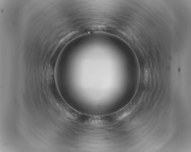 X0000088630228200705251440