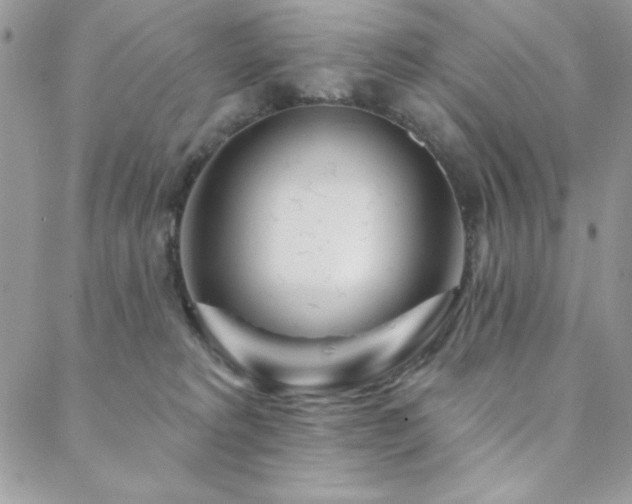 X0000088630229200705251440