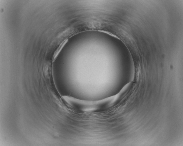 X0000088630233200705251440