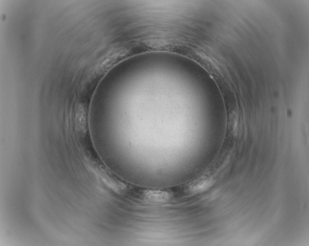 X0000088630234200705251440
