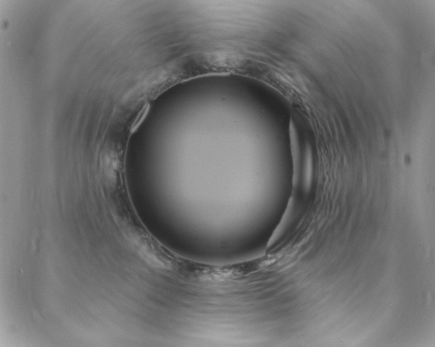 X0000088630235200705251440
