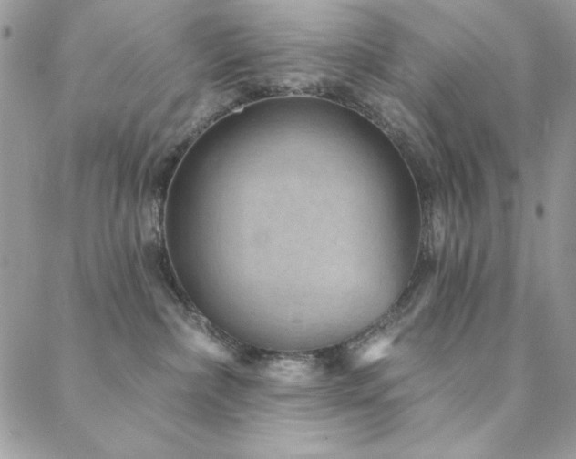 X0000088630236200705251440