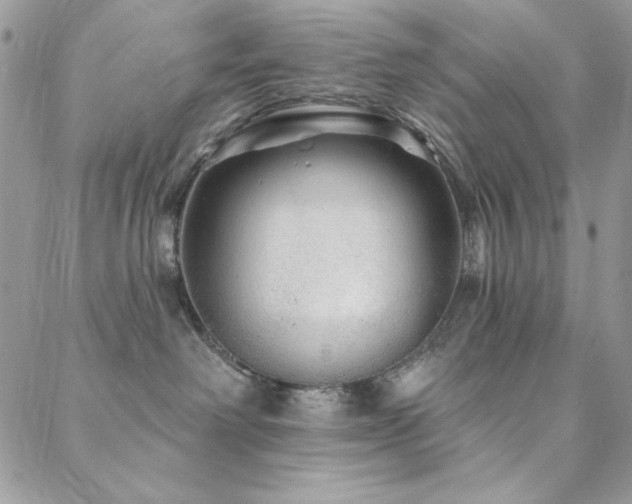 X0000088630238200705251440