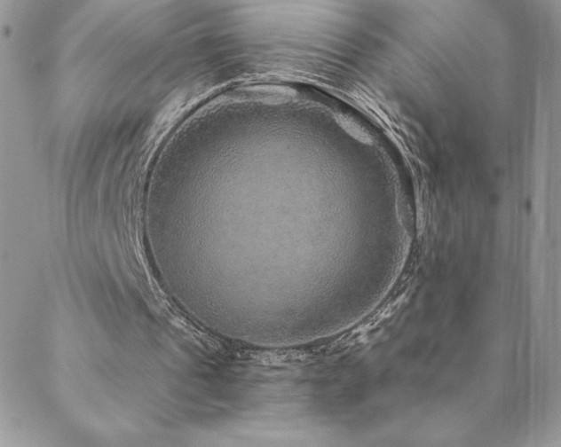 X0000088630241200705251439