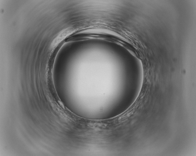 X0000088630242200705251439