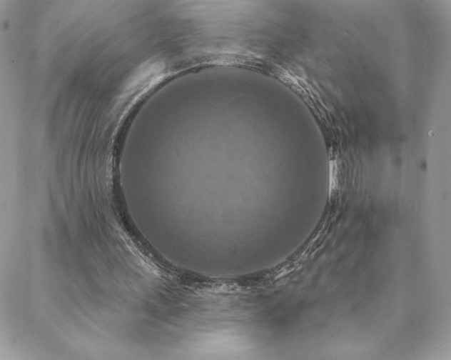 X0000088630243200705251439