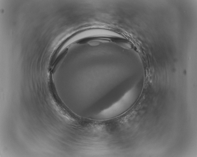 X0000088630247200705251440