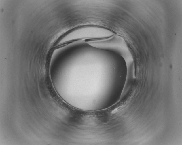X0000088630252200705251440