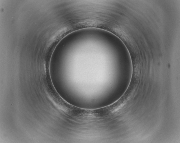 X0000088630254200705251440