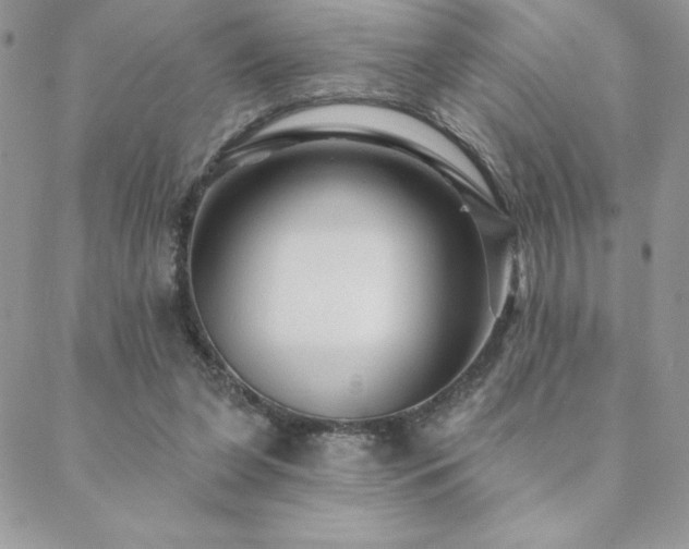 X0000088630255200705251440