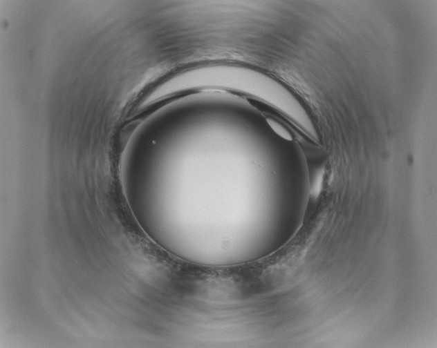 X0000088630256200705251440