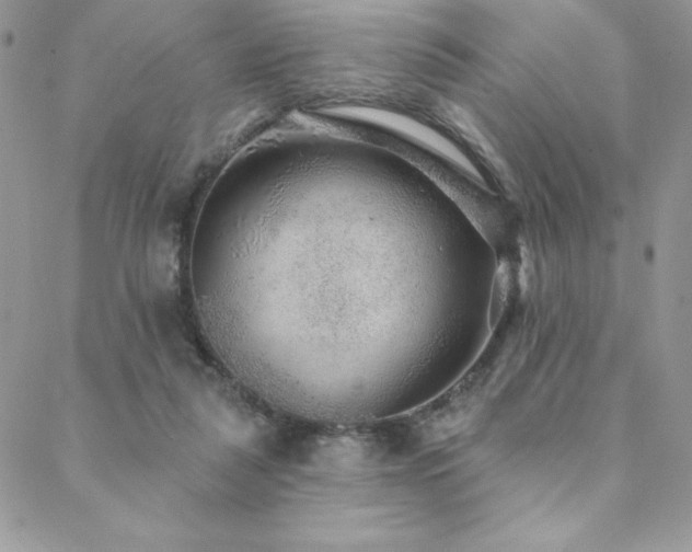 X0000088630259200705251440