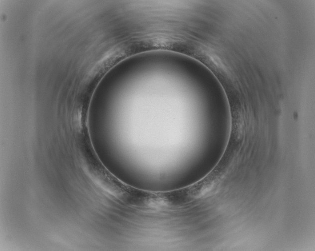 X0000088630262200705251440