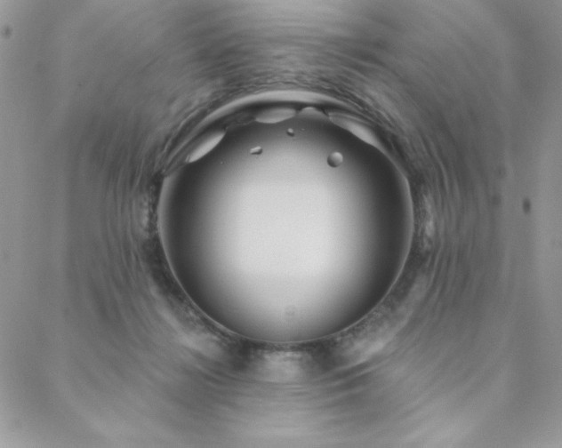 X0000088630268200705251440