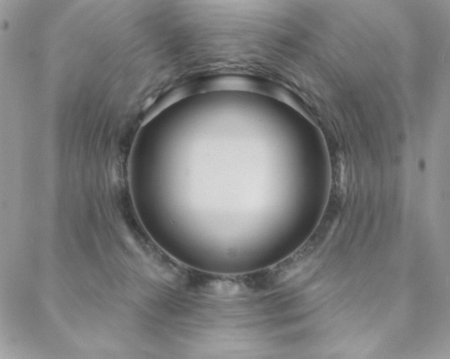 X0000088630272200705251440