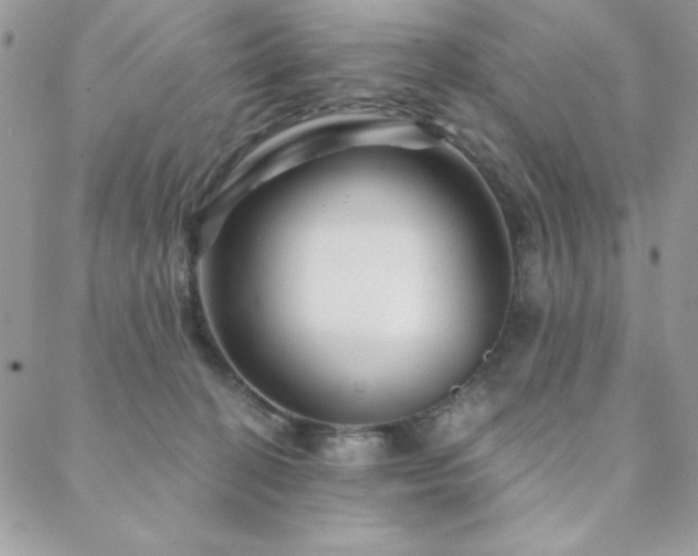 X0000088630274200705251440