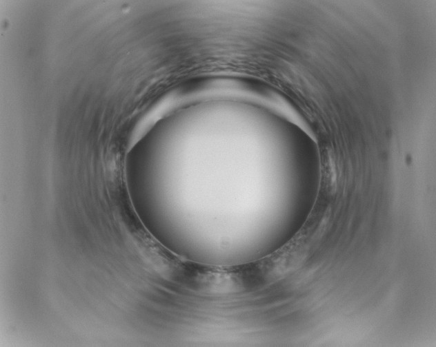 X0000088630276200705251440