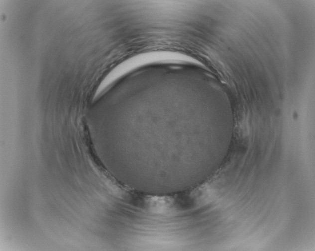 X0000088630277200705251440