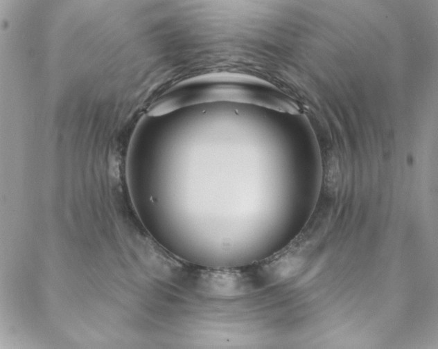 X0000088630282200705251440