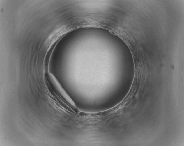 X0000088630290200705251439