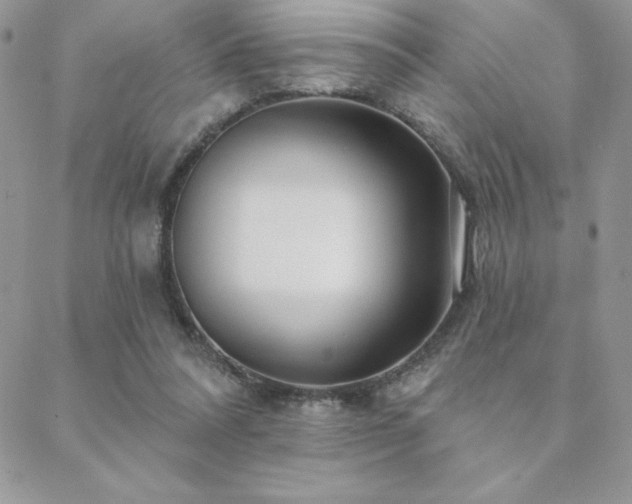 X0000088630304200705251439