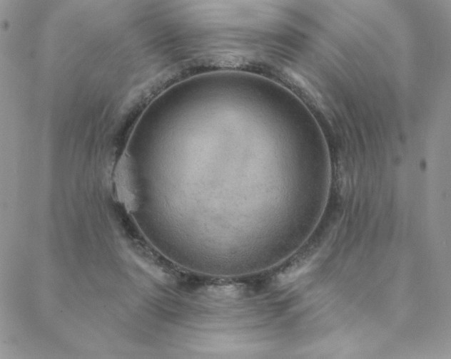 X0000088630307200705251439