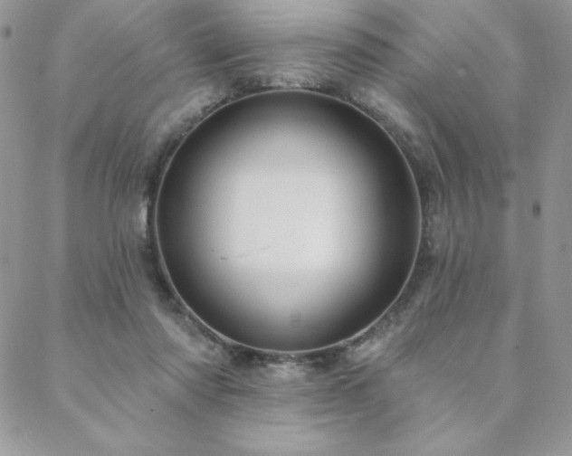 X0000088630310200705251439