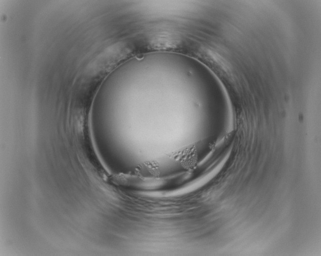 X0000088630315200705251439
