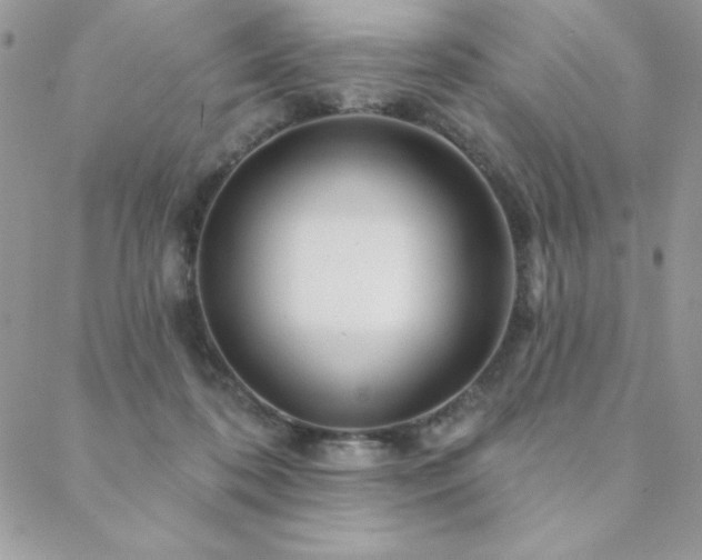X0000088630316200705251439