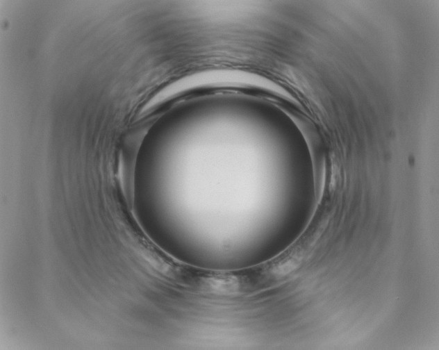 X0000088630317200705251439