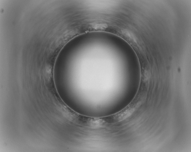 X0000088630321200705251439