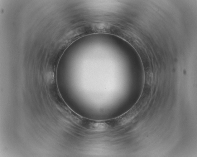 X0000088630324200705251439