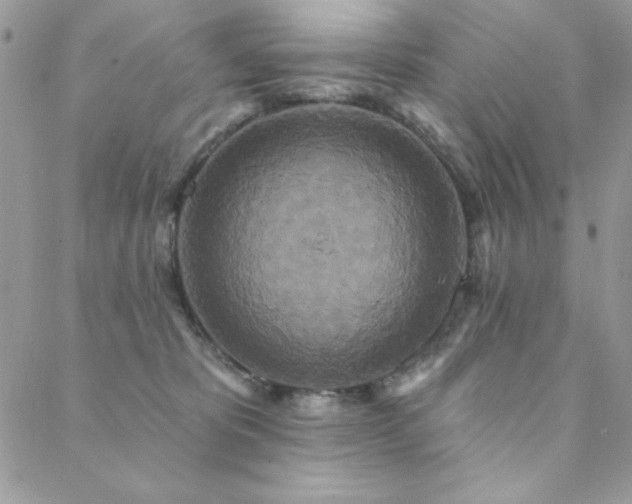 X0000088630325200705251439