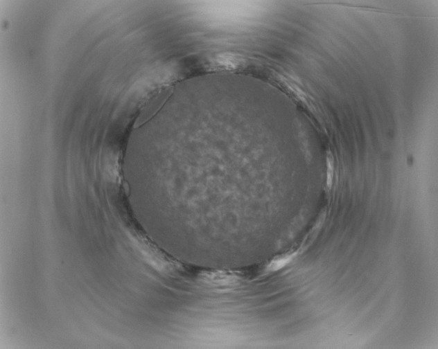 X0000088630331200705251439