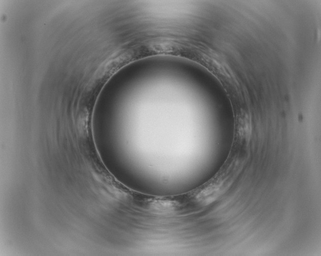 X0000088630332200705251439