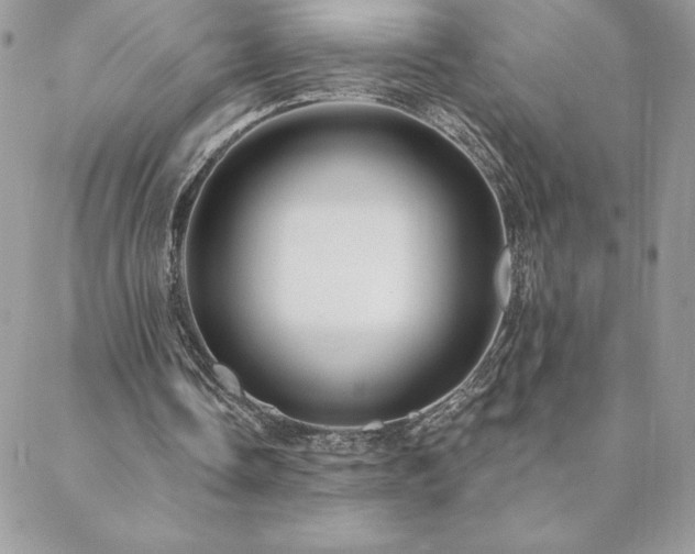 X0000088630338200705251438