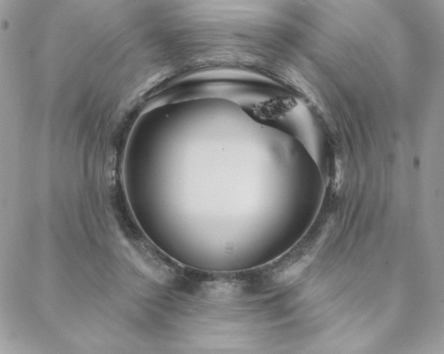 X0000088630356200705251438