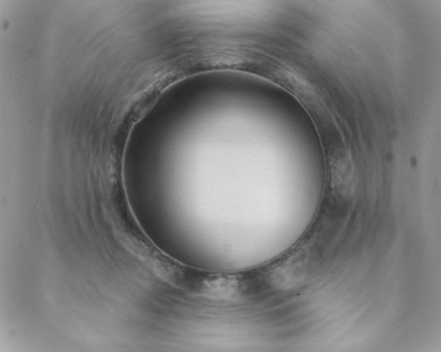 X0000088630362200705251438