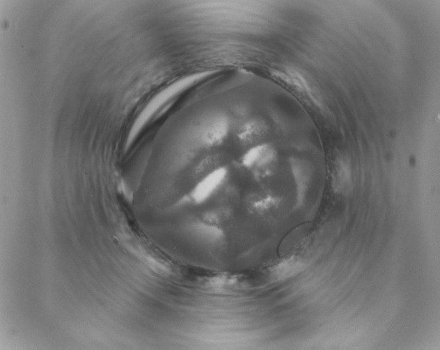 X0000088630366200705251438
