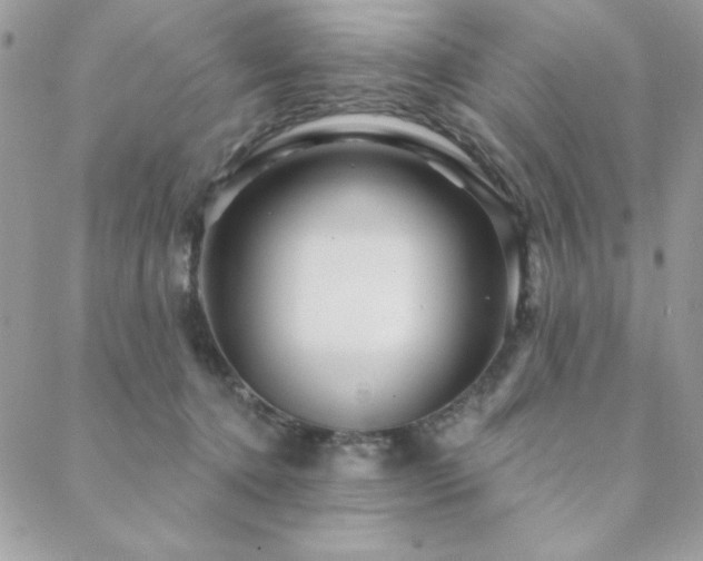X0000088630368200705251438