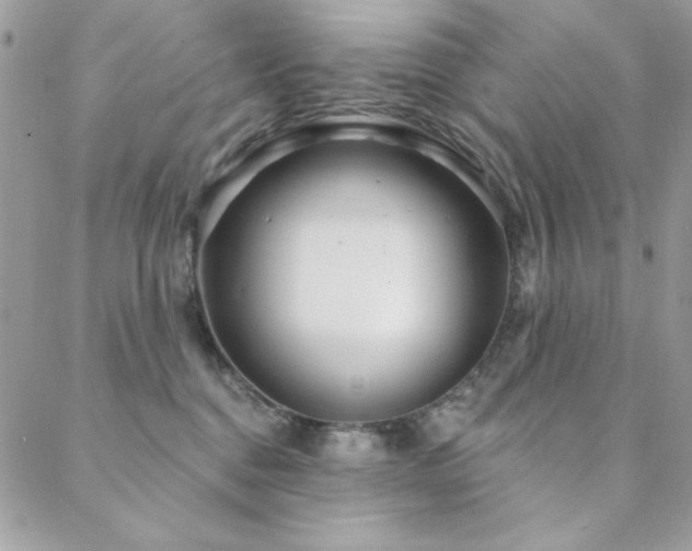 X0000088630376200705251438