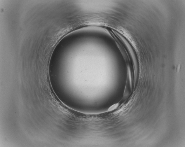 X0000088630385200705251438