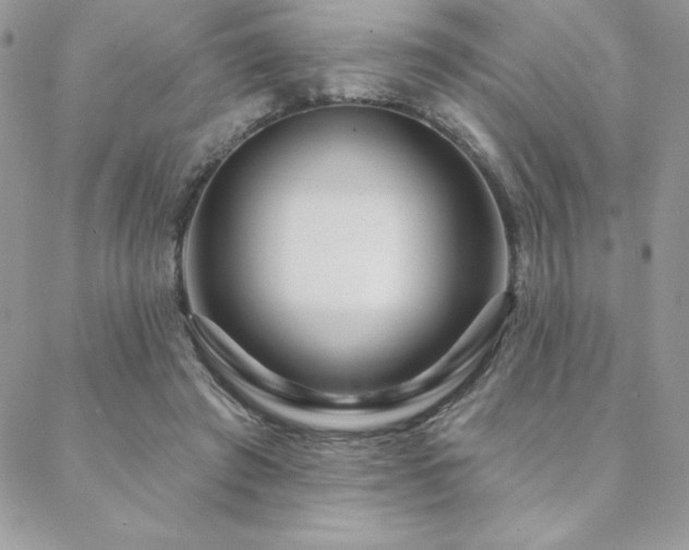 X0000088630401200705251438