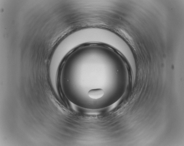 X0000088630405200705251437