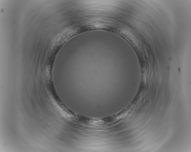 X0000088630410200705251437